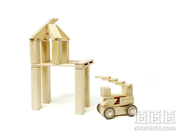 Tegu积木玩具