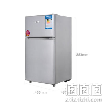 熊猫BCD-102双门冰箱