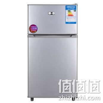 熊猫BCD-102双门冰箱