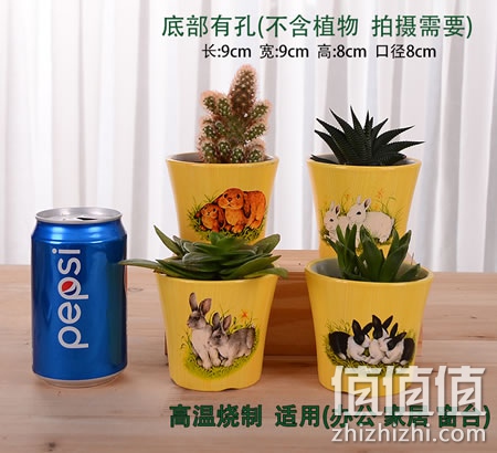 创意个性多肉植物陶瓷花盆
