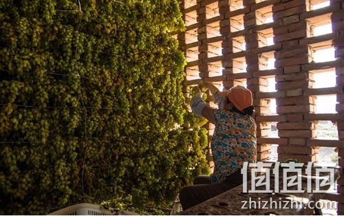 葡萄干怎么保存，葡萄干的营养价值
