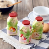 界界乐 Jelley Brown 原味乳酸菌饮料 100ml*40瓶
