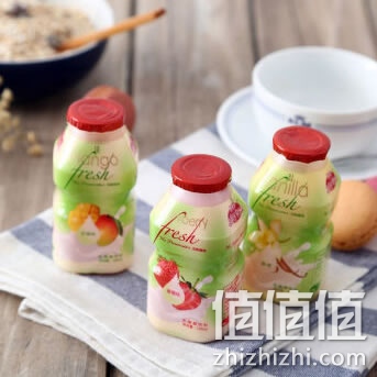 界界乐原味乳酸菌饮料