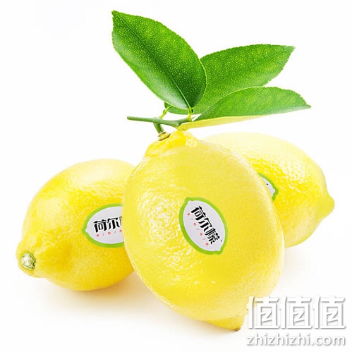 荷尔檬黄柠檬