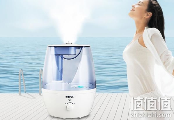 奔腾PW113加湿器