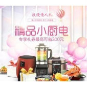 促销活动：京东 精品小厨电 情人节专场