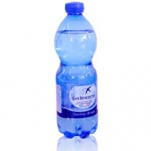 意大利进口 圣碧涛 San Benedetto 天然矿泉水 500ml*24瓶*4箱+凑单品