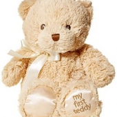 情人节送礼！GUND 我的泰迪熊毛绒玩具 10英寸 25cm  74元包邮（120元，双重优惠）