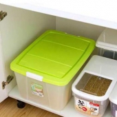 IRIS爱丽思 42L中号环保塑料收纳箱 AA-38