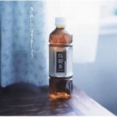 Suntory 三得利 无糖乌龙茶 500ml*15瓶