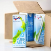 Theland 纽仕兰 部分脱脂牛奶 250ml*24盒 赠全脂奶粉400g