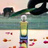 爱马仕（HERMES） Un Jardin Apres la Mousson 雨后花园 中性香水 50ml  包邮包税