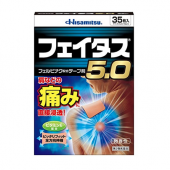 Hisamitsu 久光制药 消炎止痛膏药贴 35枚 促进血液循环