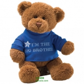 套在T恤里的泰迪熊，Gund 毛绒泰迪熊 30cm Prime会员凑单免费直邮到手￥86