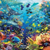 Boss级别 Ravensburger 睿思 9000片 水下天堂 拼图 Prime会员免费直邮含税到手￥478