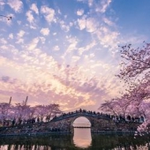 上海+无锡4天3晚自由行（迪士尼门票+鼋头渚门票+2晚上海喜来登+1晚无锡苏宁凯悦）