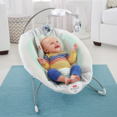 费雪牌（Fisher-Price）   Moonlight Meadow 豪华婴儿椅