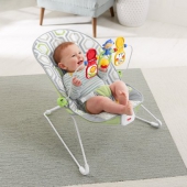 费雪牌（Fisher-Price）  婴儿圆形摇椅