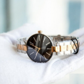 雷达（RADO） Coupole晶萃系列 R22850713 女士时尚腕表