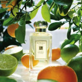 祖·马龙（Jo Malone） 青柠罗勒与柑橘 古龙淡香水 30ml 花果香调