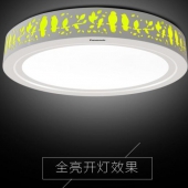 Panasonic 松下 舞逸 现代简约吸顶灯 43W ￥429包邮