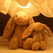 Jellycat   害羞系列经典款 邦尼兔公仔 小号 18cm