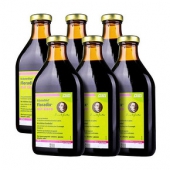 莎露斯 德国铁元绿色版 500ml 6件