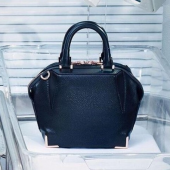 亚历山大.王（ALEXANDER WANG）  女士迷你款医生包
