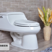 KOHLER 科勒 圣拉菲尔6升坐便器 305mm坑距 新低￥2774.25包邮（￥3779 双重优惠）