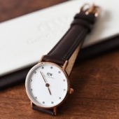 Daniel Wellington 丹尼尔.惠灵顿 0903DW 女士腕表
