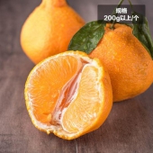不知火 丑柑 600g 200g以上/个