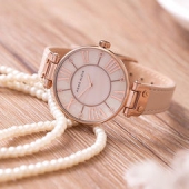 Anne Klein 安妮·克莱因 女式石英手表 10/9918RGLP