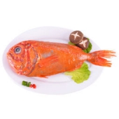 冷冻南极长寿鱼1.2kg*2条+巴沙鱼柳 200g