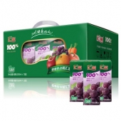 汇源100%果汁 葡萄汁精品礼盒200ml*12盒