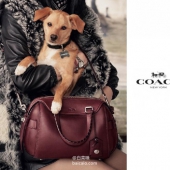 降30刀，COACH 蔻驰 女士手提斜挎包 新低$259.99 到手￥1920