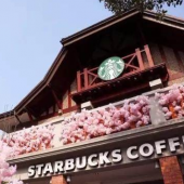 你真要去星巴克限定樱花店耍流氓？
