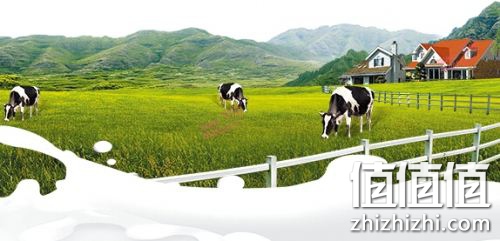 英国牛栏与荷兰牛栏谁才是真正的牛栏？