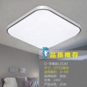 洲明翰源 现代简约大气24W吸顶灯 22*22cm