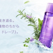 镇店之宝，COSME DECORTE 黛珂 苏妍净化前导液（紫苏水）150ml ¥278包邮包税