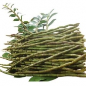 新鲜铁皮石斛鲜条 500g 15~40cm