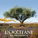 L’Occitane 欧舒丹 蜡菊活颜系列，紧致肌肤、提亮肤色，亮白肌肤看得见！