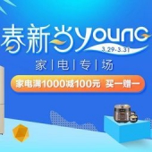 促销：国美春新当young家电专场