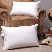 DOWNIA 羽绒枕 90%白鸭绒枕 74*48cm (填充物900克) 一只 厚度适中