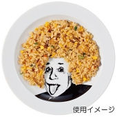 SUNART 有趣食器 AN2208-2 爱因斯坦食盘