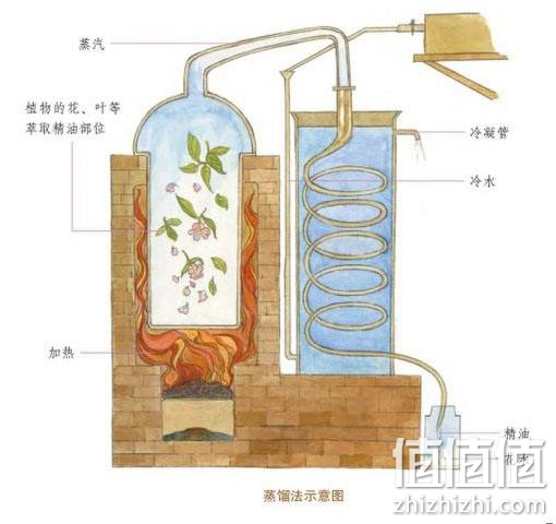 如何挑选精油的优劣？手把手教你如何选精油，精油如何选购？欧舒丹活力按摩油，Oshadhi天然玫瑰果油，Oshadhi柠檬薄荷单方精油