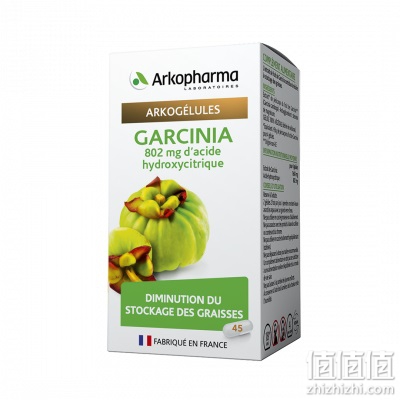 Arkogelules Garcinia 藤黄果胶囊