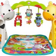Fisher Price 费雪 CCB70 欢乐动物音乐健身器    199元包邮（249,199-50）