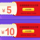 优惠券：京东华南 全品类东券
