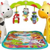 Fisher Price 费雪 CCB70 欢乐动物音乐健身器 折204元（279，499-150）