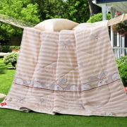 北极绒 亲肤柔软印花夏凉被 200*230cm